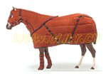 winter stable blanket